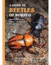 A Guide to Beetles of Borneo